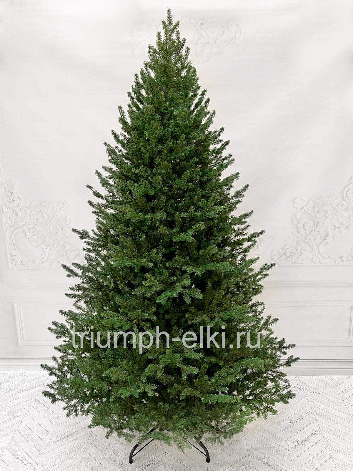 Ель Русская