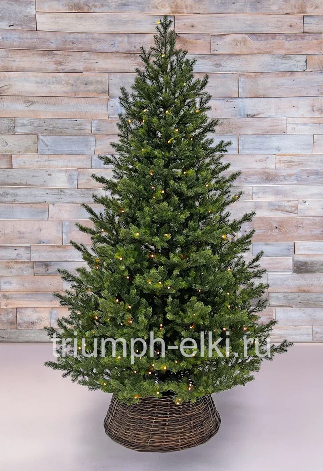 Ель Датская с лампами
