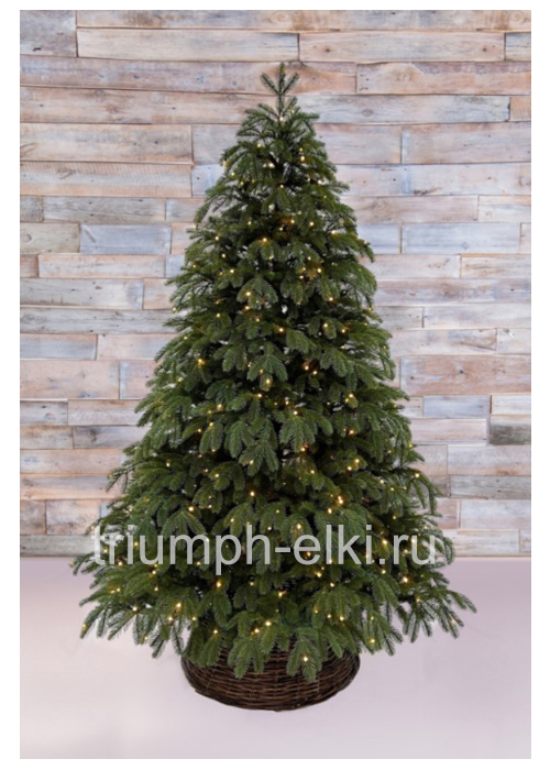 Ель Дворянская 100% литая