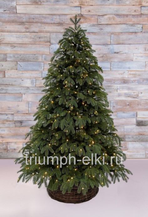 Ель Дворянская с лампами