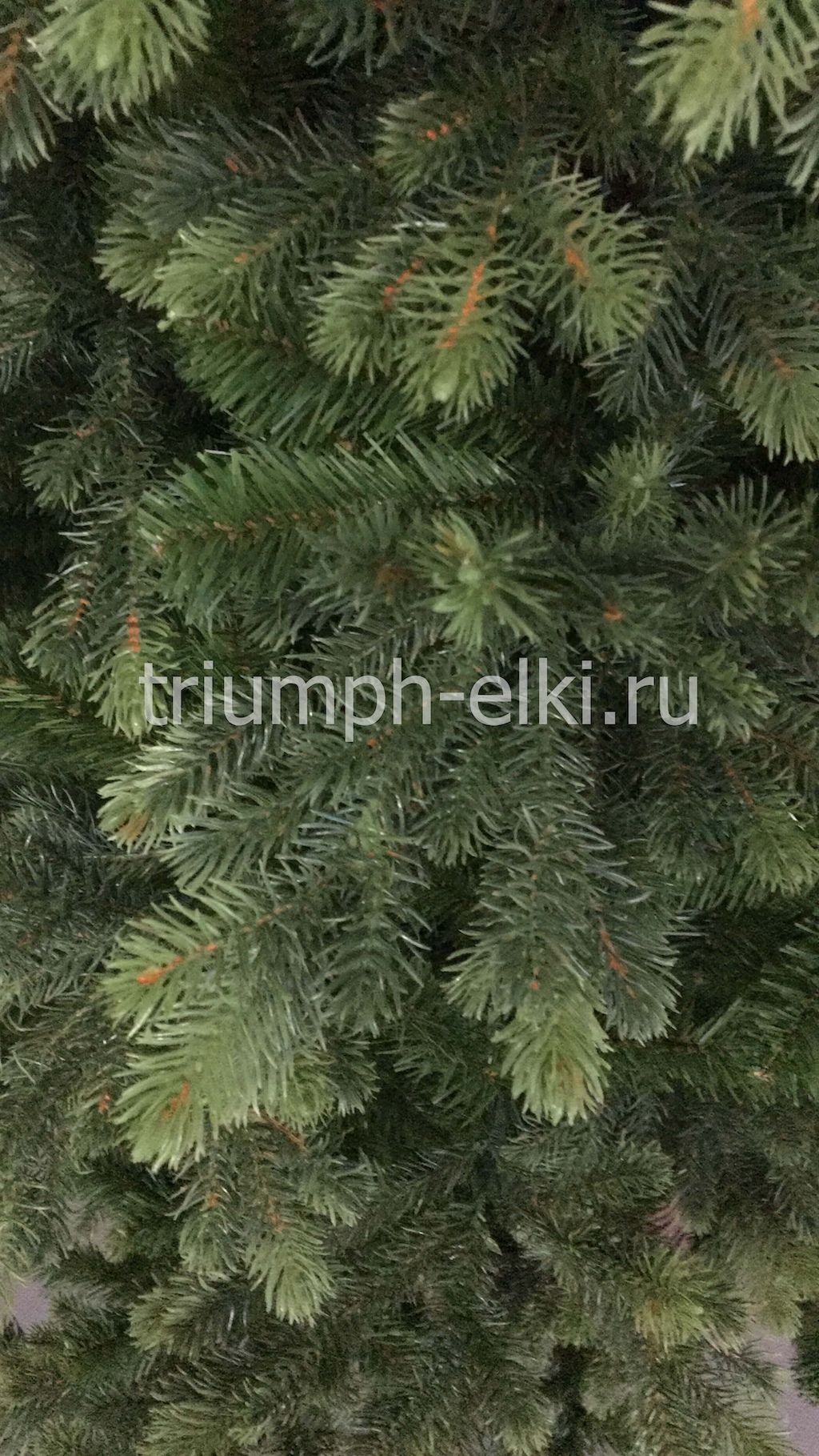 Ель Королевская премиум Triumph Tree