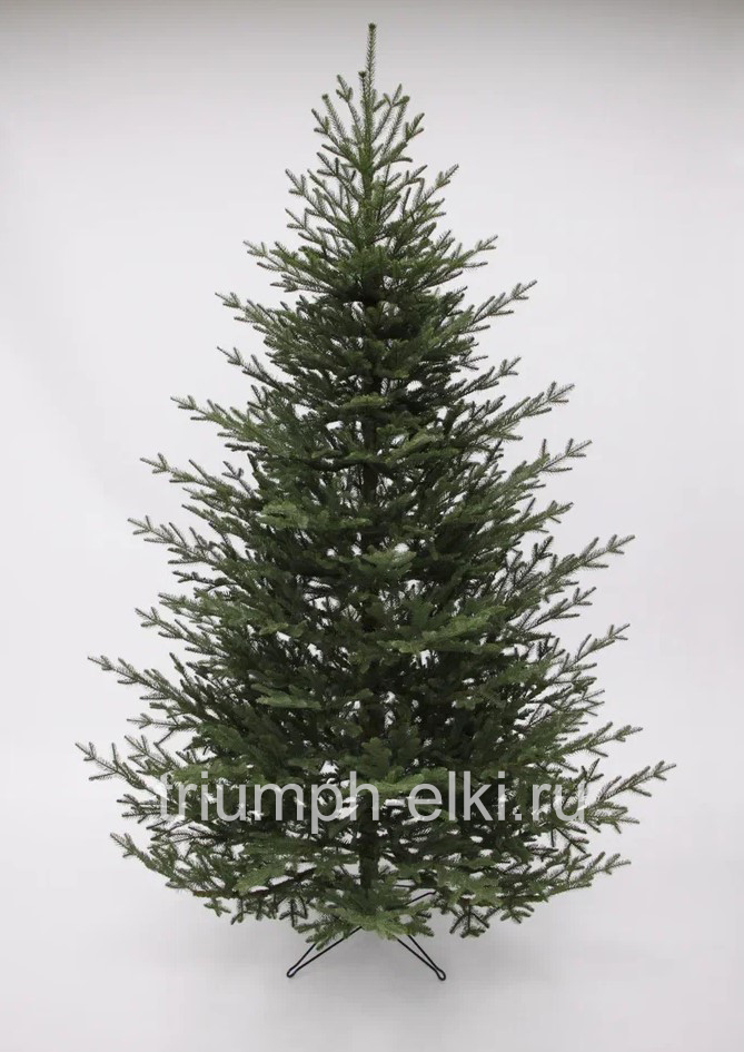 Ель Французская