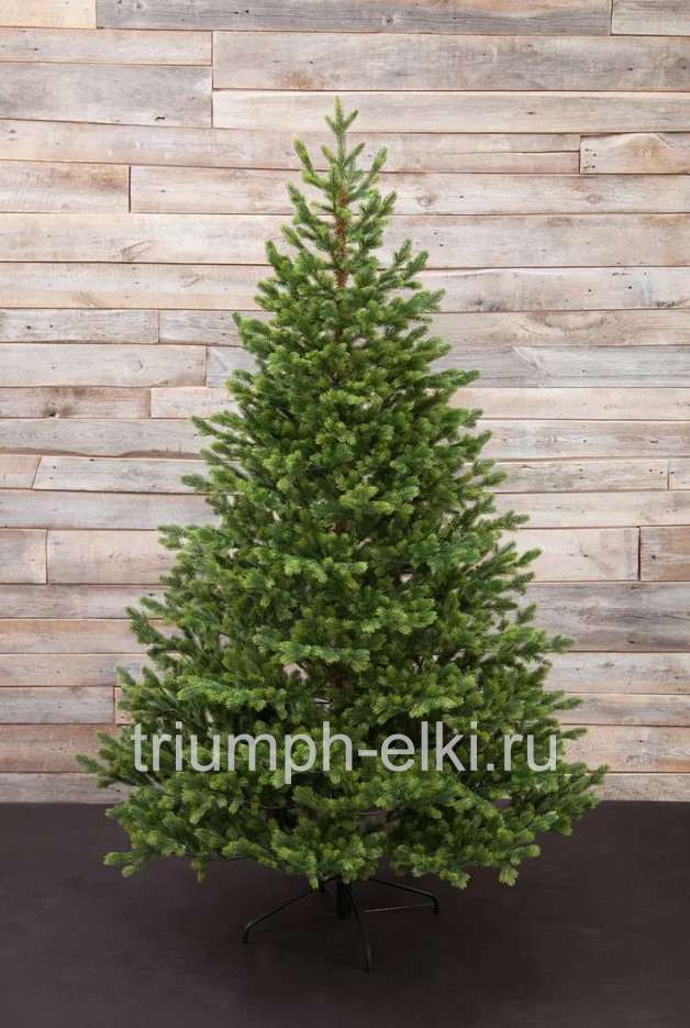 Ель Городская классическая