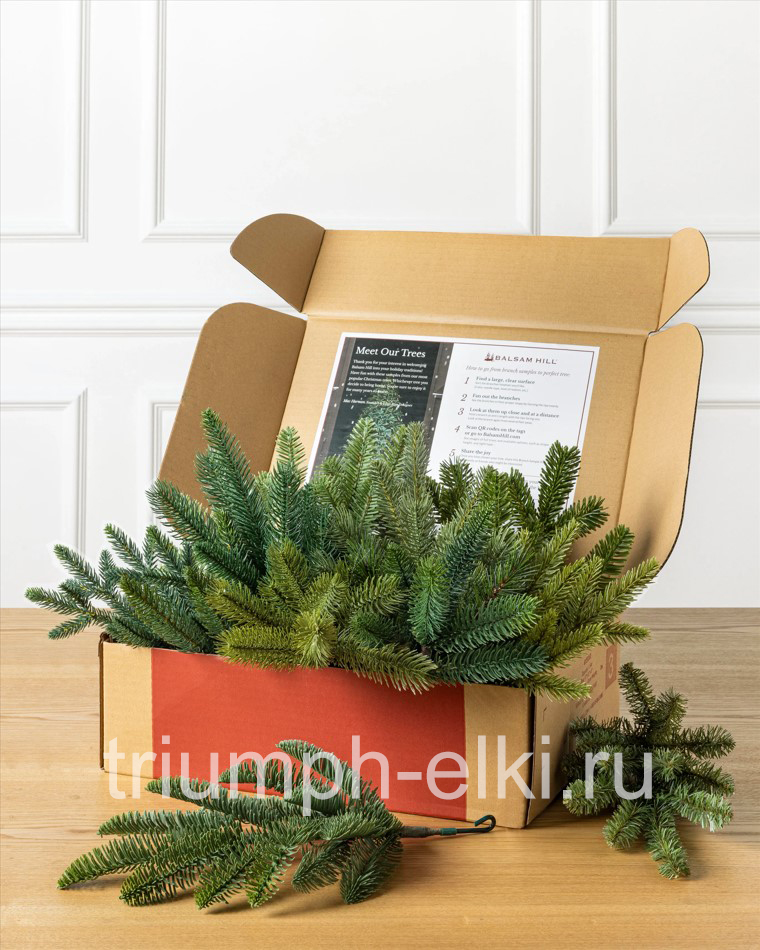 Елочные ветки в коробке
