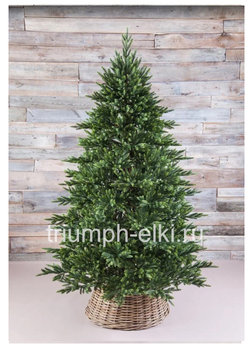 Ель Королевская премиум Full PE