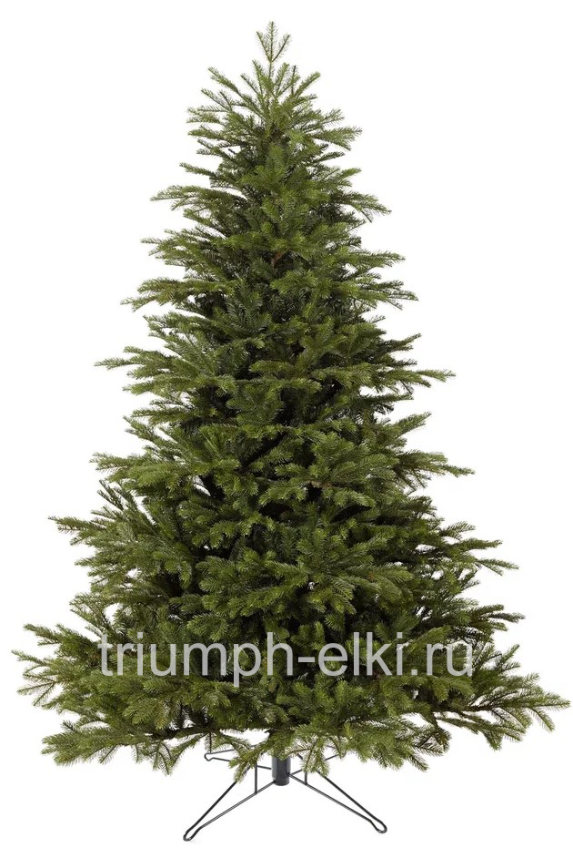 Ель Коттеджная