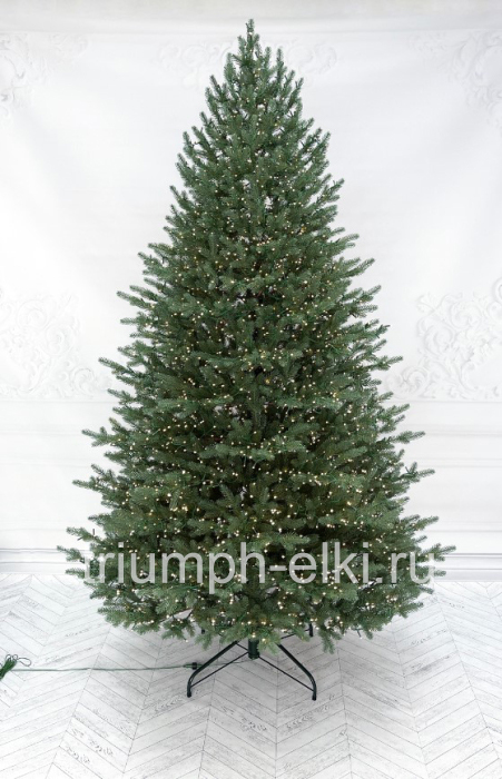 Ель Лесная Фея