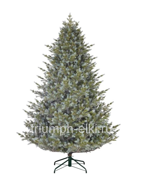 Ель Нижегородская