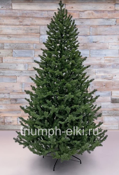 Ель Подмосковная