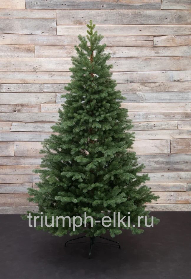 Ель Швейцарская