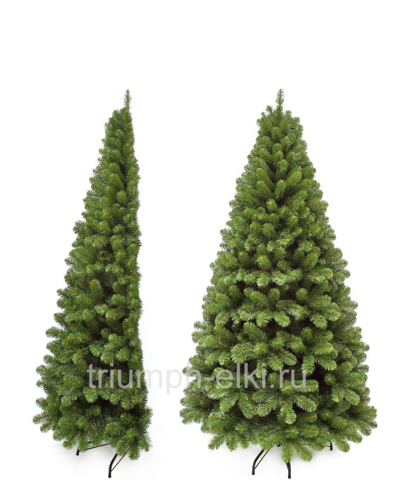Сосна Triumph Tree Санкт-петербург пристенная зеленая
