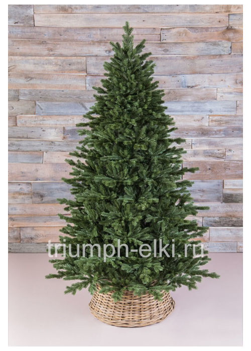 Ель Шервуд премиум Full PE