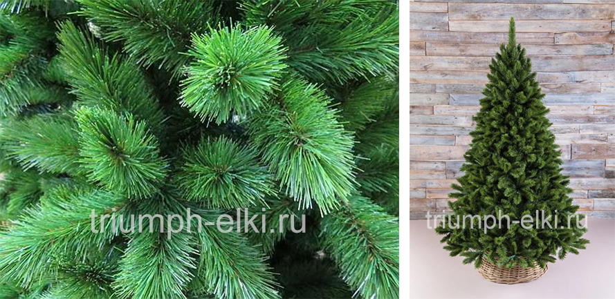 Елка Триумф Норд Triumph Tree
