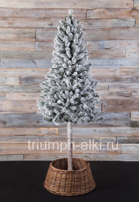 Елка Black Box Винзор заснеженная